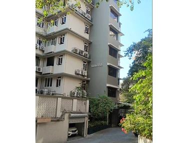 2 - Seagull, Peddar Road