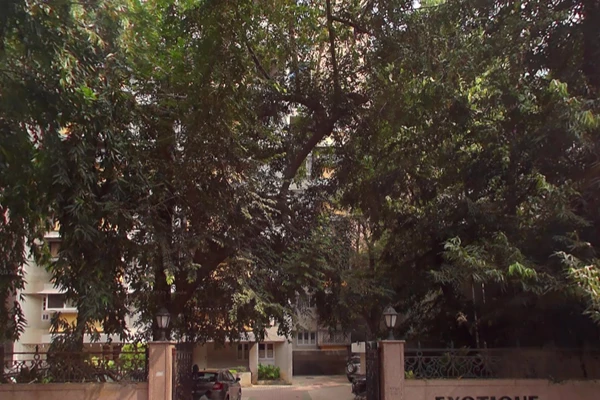 Flat on rent in Exotique, Khar West