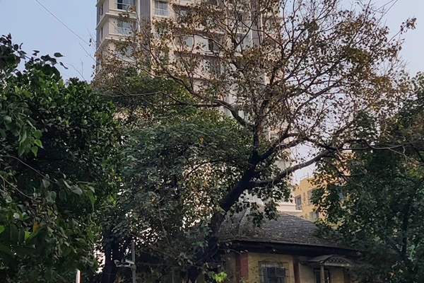 Flat on rent in 865 Sadanand, Dadar West