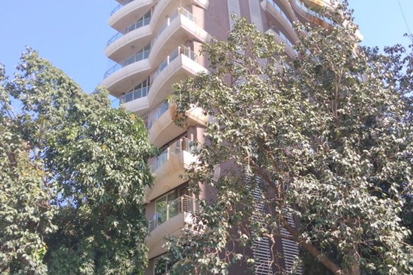 Flat on rent in Om Sadan, Bandra West