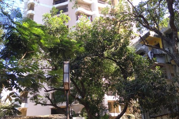 Flat on rent in Primrose Tower, Andheri West