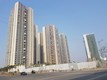 Flat on rent in Lodha Evoq, Wadala