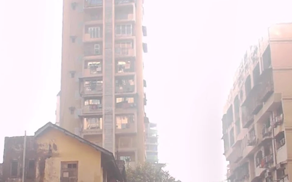 4 - 7 South Avenue, Tardeo