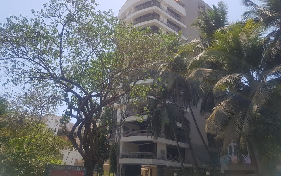 Building - Shimmer, Juhu