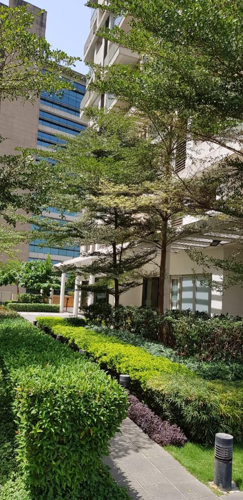 Building19 - Lodha Primero, Mahalaxmi