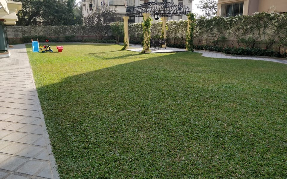 Building2 - Raheja Sunkist, Bandra West