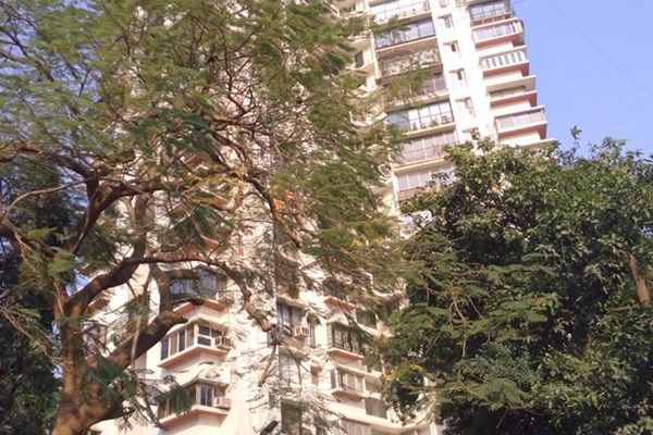 Flat on rent in Jolly Highrise, Bandra West