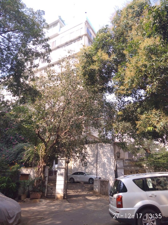 Flat on rent in Padamsee House, Bandra West