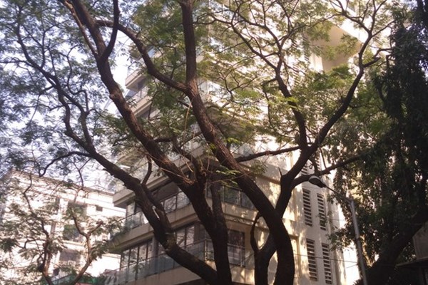Flat on rent in Glamour Heights, Khar West