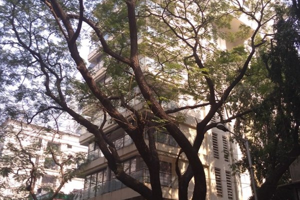 Flat on rent in Glamour Heights, Bandra West