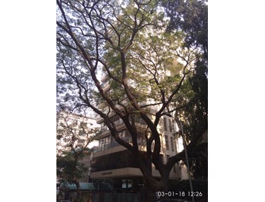 Glamour Heights, Khar West