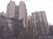 Flat on rent in Golden Rays, Andheri West