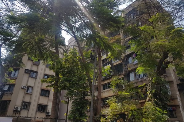 Flat on rent in Benhur, Andheri West