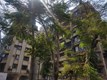 Flat on rent in Benhur, Andheri West