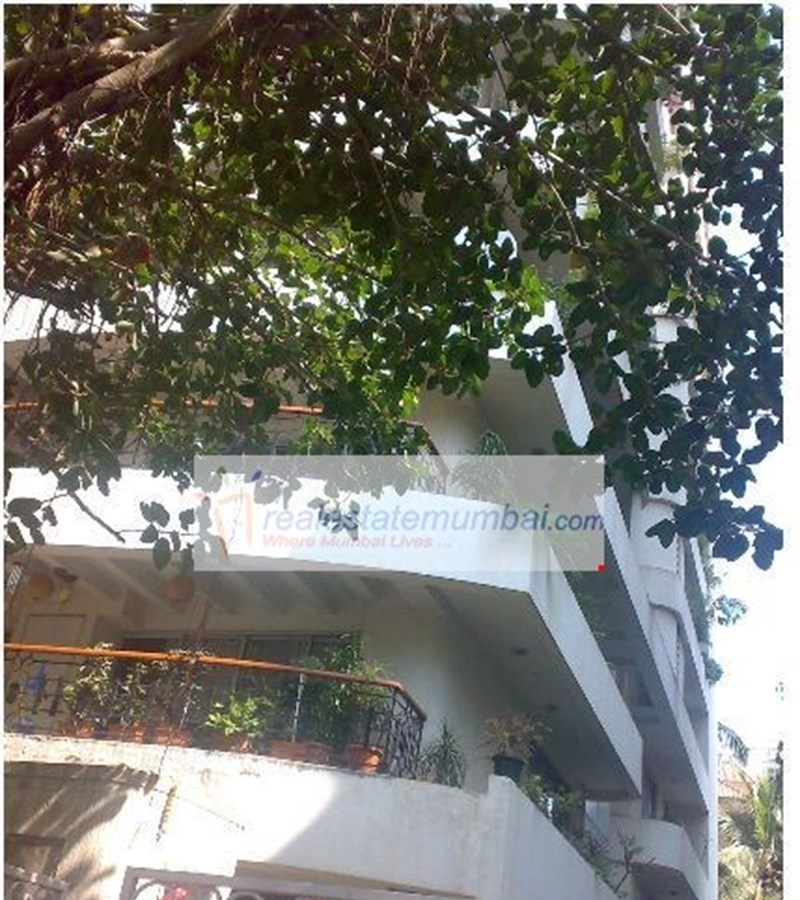 Main - Gopush Annexe, Juhu