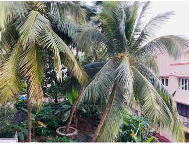 1 - Asuda Kutir, Bandra West