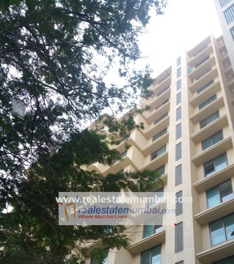 Main - Options Emporio, Vile Parle West