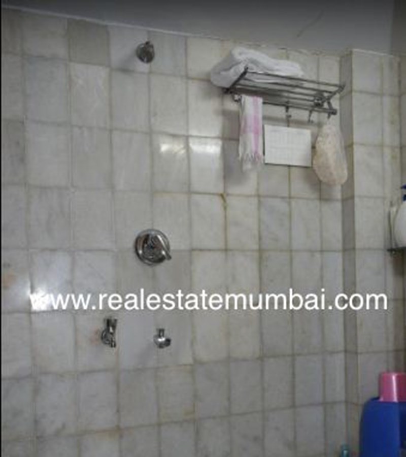 Master Bathroom - Sarkar Avenue , Santacruz West