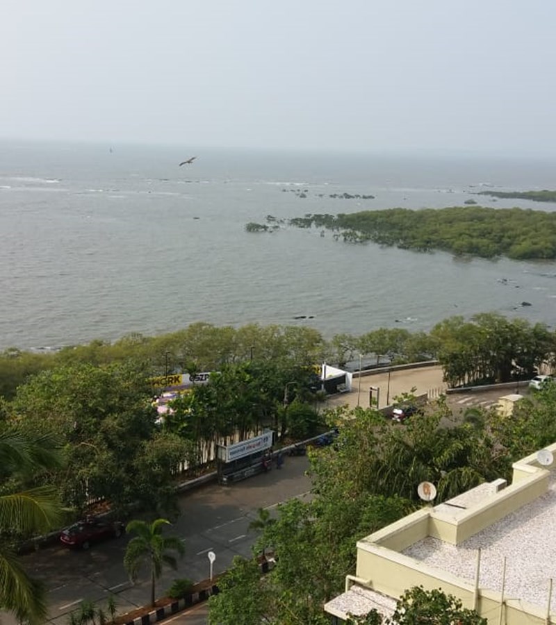 Building16 - The Jackers, Bandra West