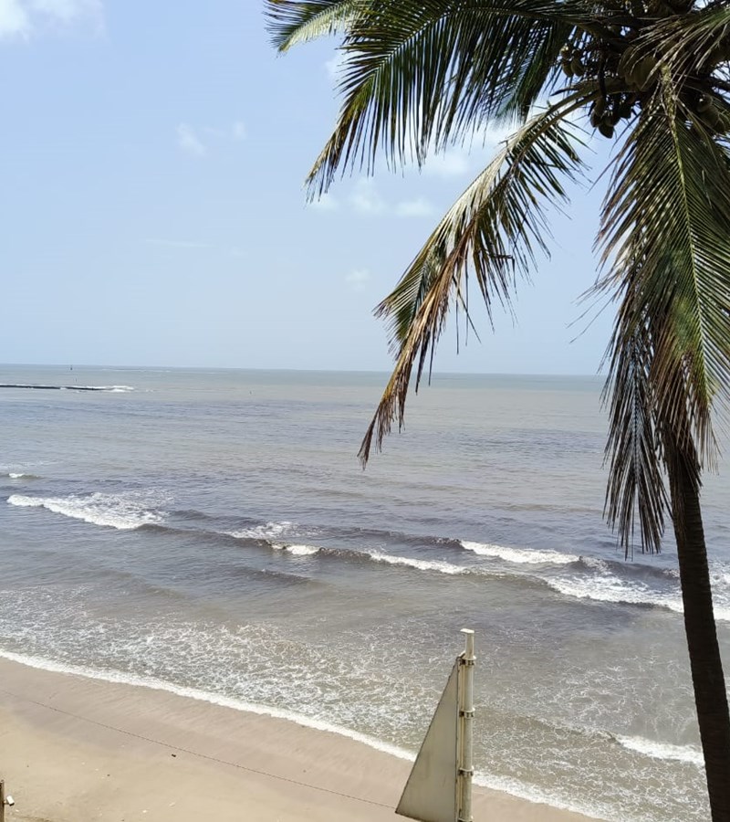 13 - Praneta, Juhu