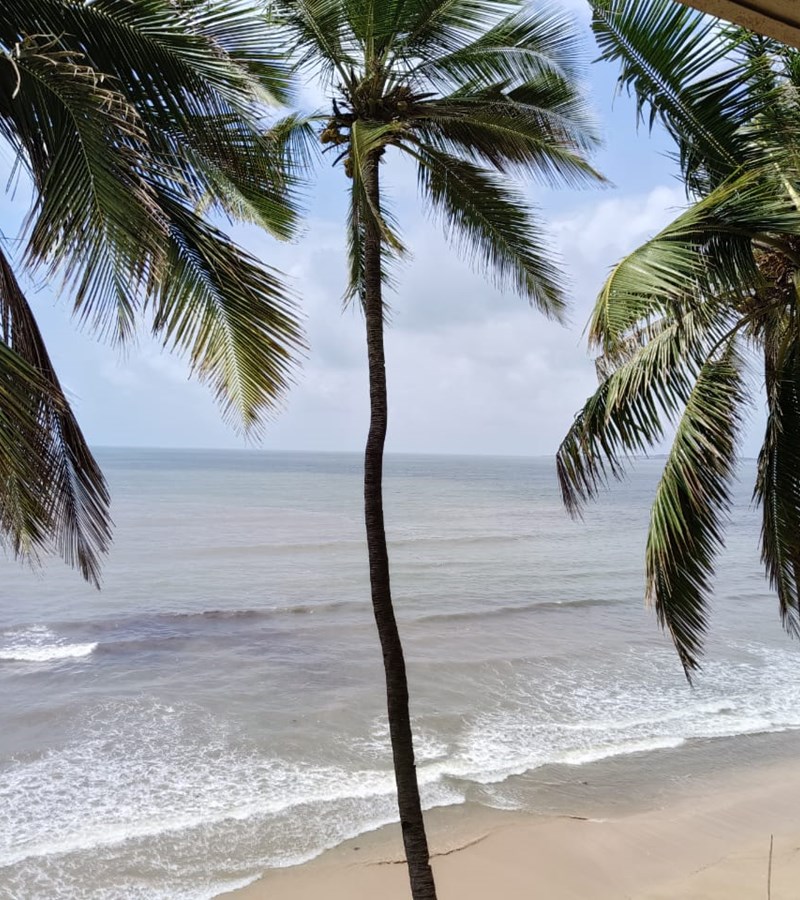 14 - Praneta, Juhu