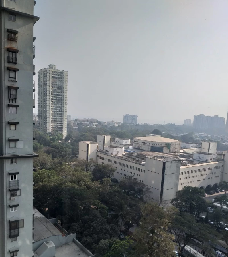 1 - Jolly Maker, Cuffe Parade