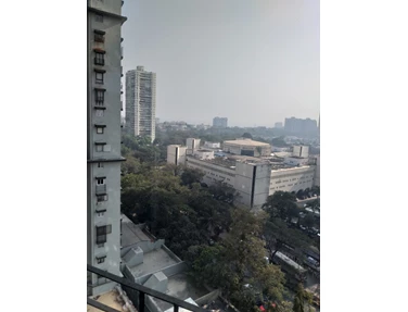 1 - Jolly Maker, Cuffe Parade