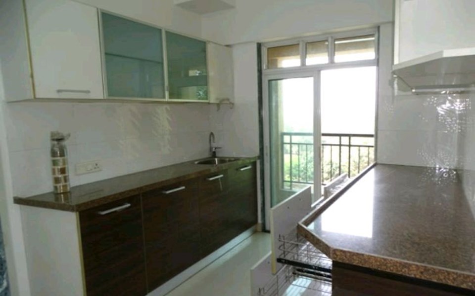 4 - Rosa Alba, Powai