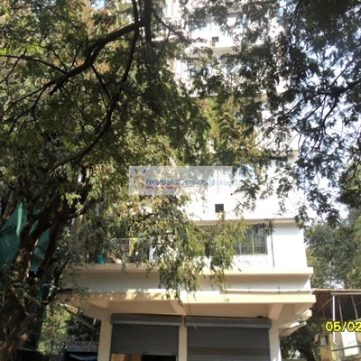 Flat on rent in White Rose, Bandra West