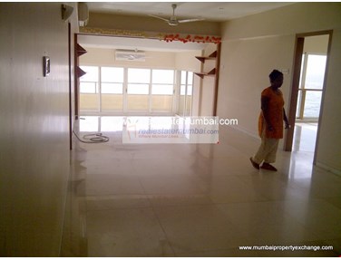 Living Room - Steesha, Bandra West