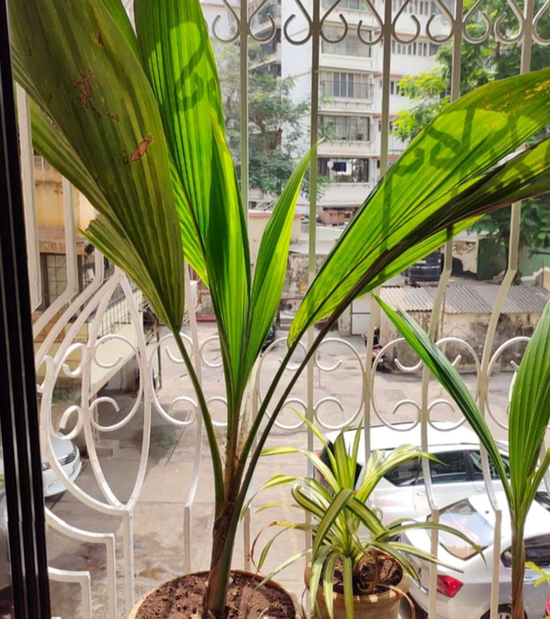 12 - Ameeta Building, Nariman Point