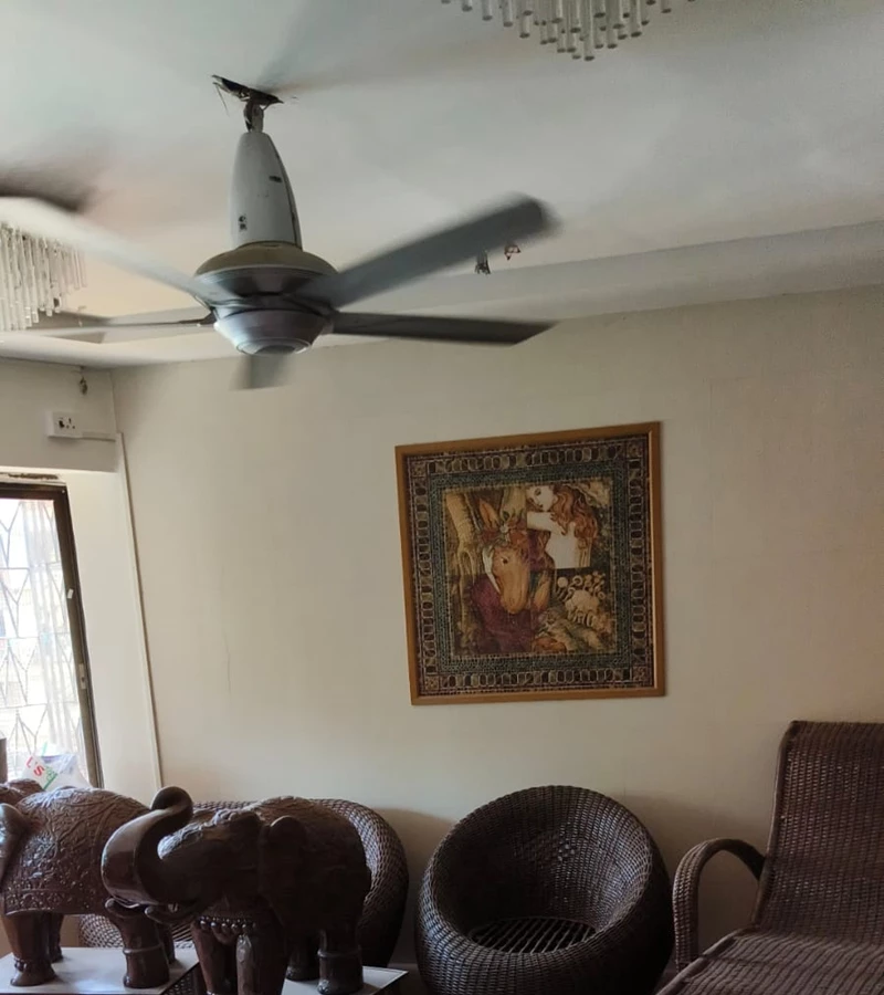 23 - Solomon Apartment, Bandra West