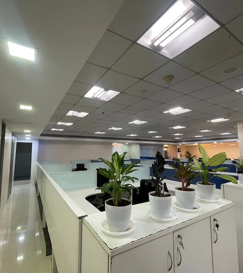 50 - Boomerang, Powai