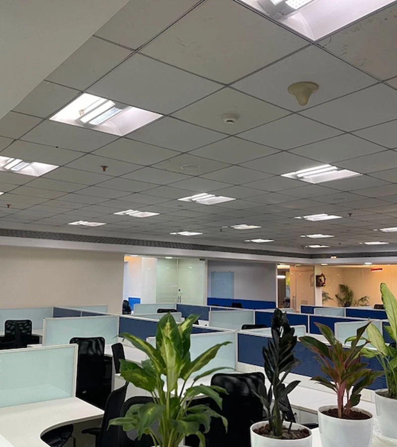 52 - Boomerang, Powai