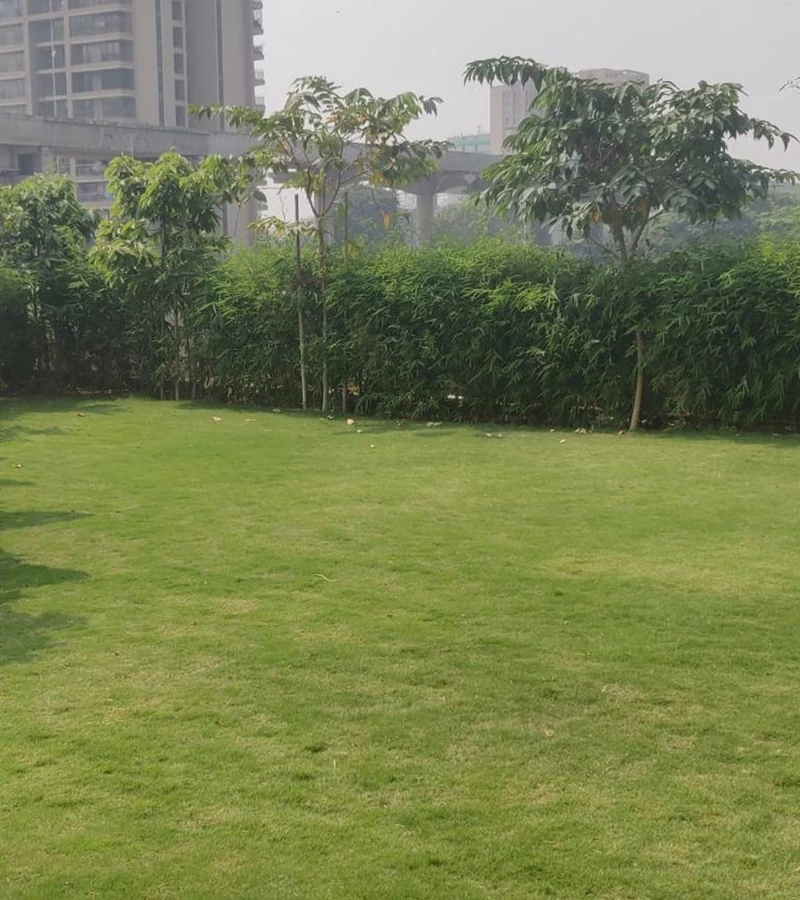 5 - Oberoi Maxima, Andheri East