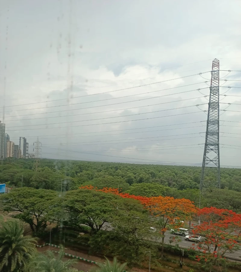1 - Kesar Solitaire, Vashi