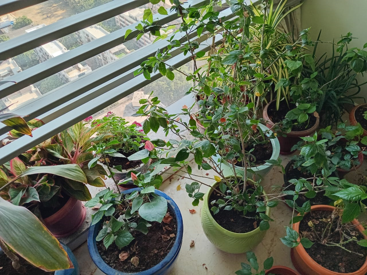 8 - Adani Western Heights, Andheri West