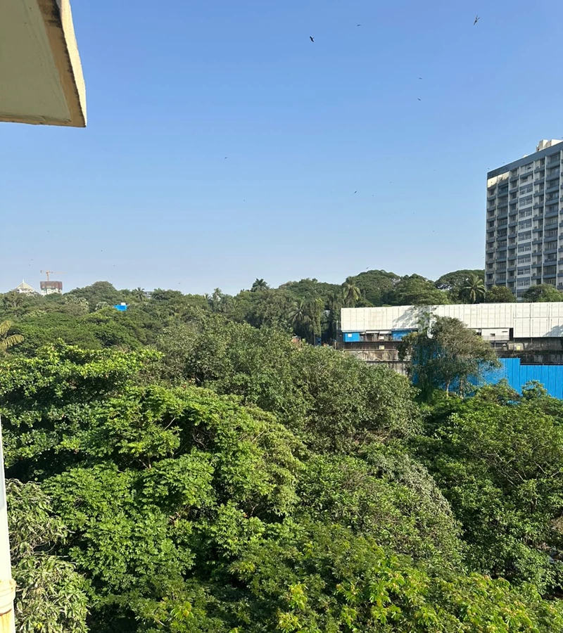 M5 - Meherina, Nepeansea Road