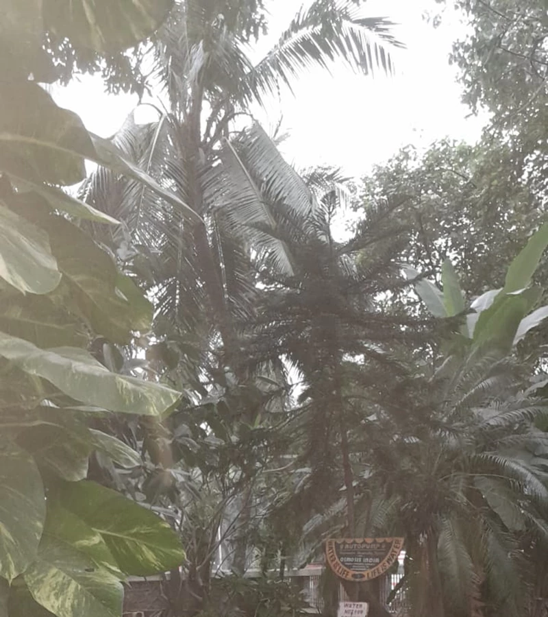 2 - Patliputra, Andheri West