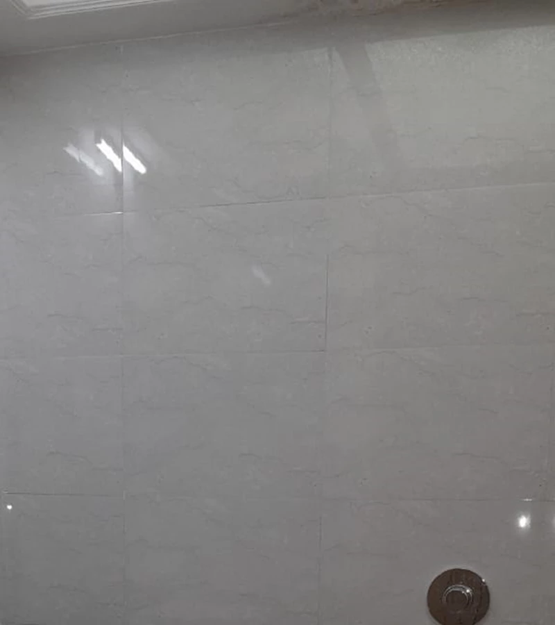 9 - Patliputra, Andheri West