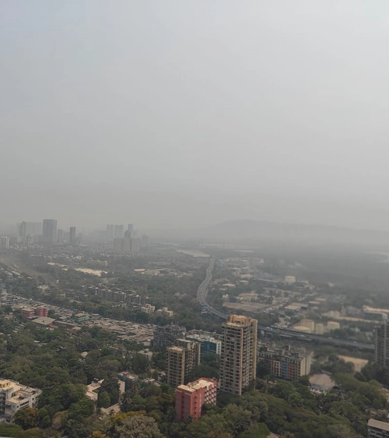 17 - Crescent Bay, Parel