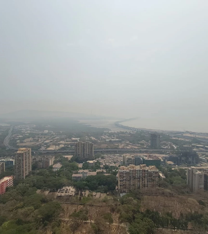 5 - Crescent Bay, Parel