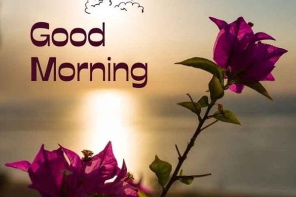 Flat on rent in ramesh niwas, North Western Suburbs