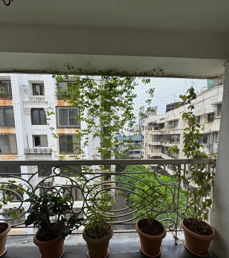 20 - Therese Ville Dawn, Bandra West