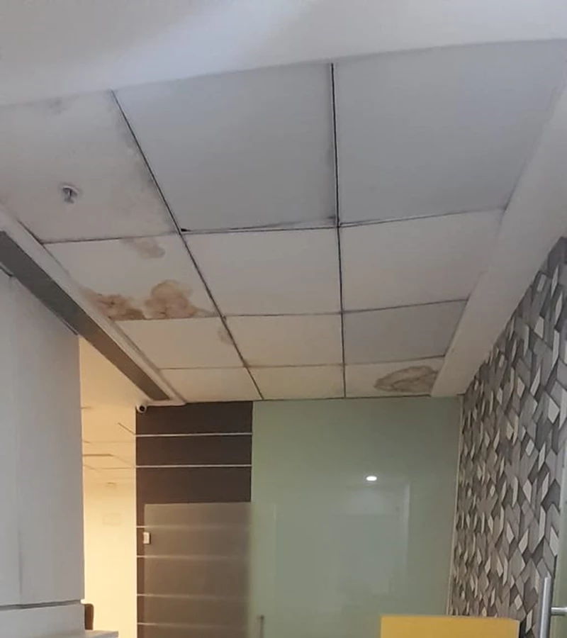 1 - Boomerang, Powai