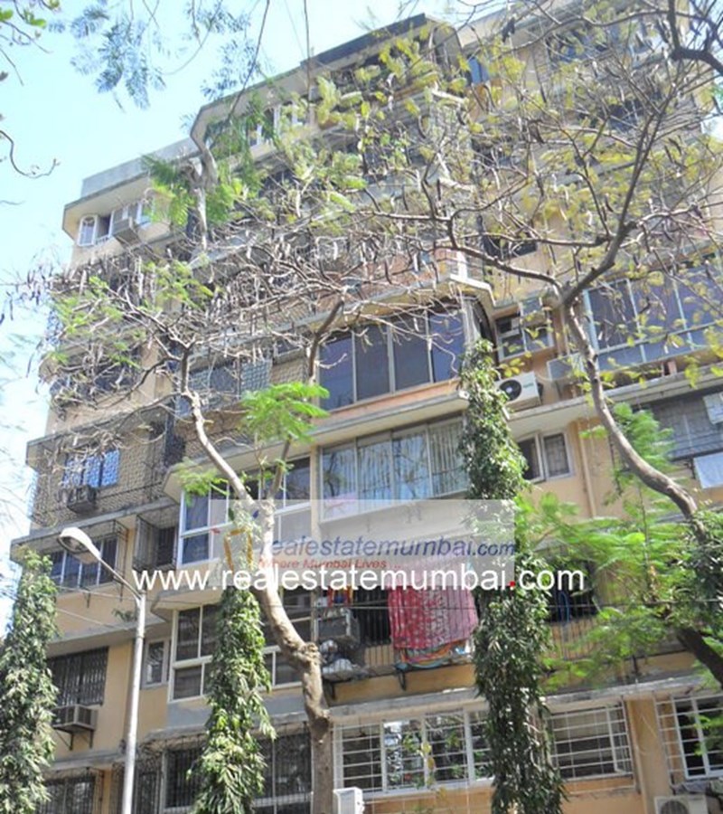 Main - Blue Bird, Bandra West
